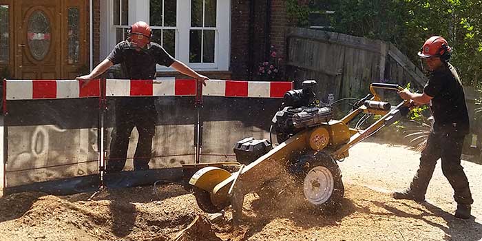 stump grinding